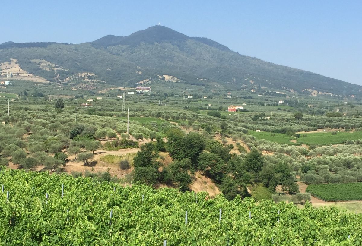 Buying Guide: 10 of the best Aglianico del Vulture DOC
