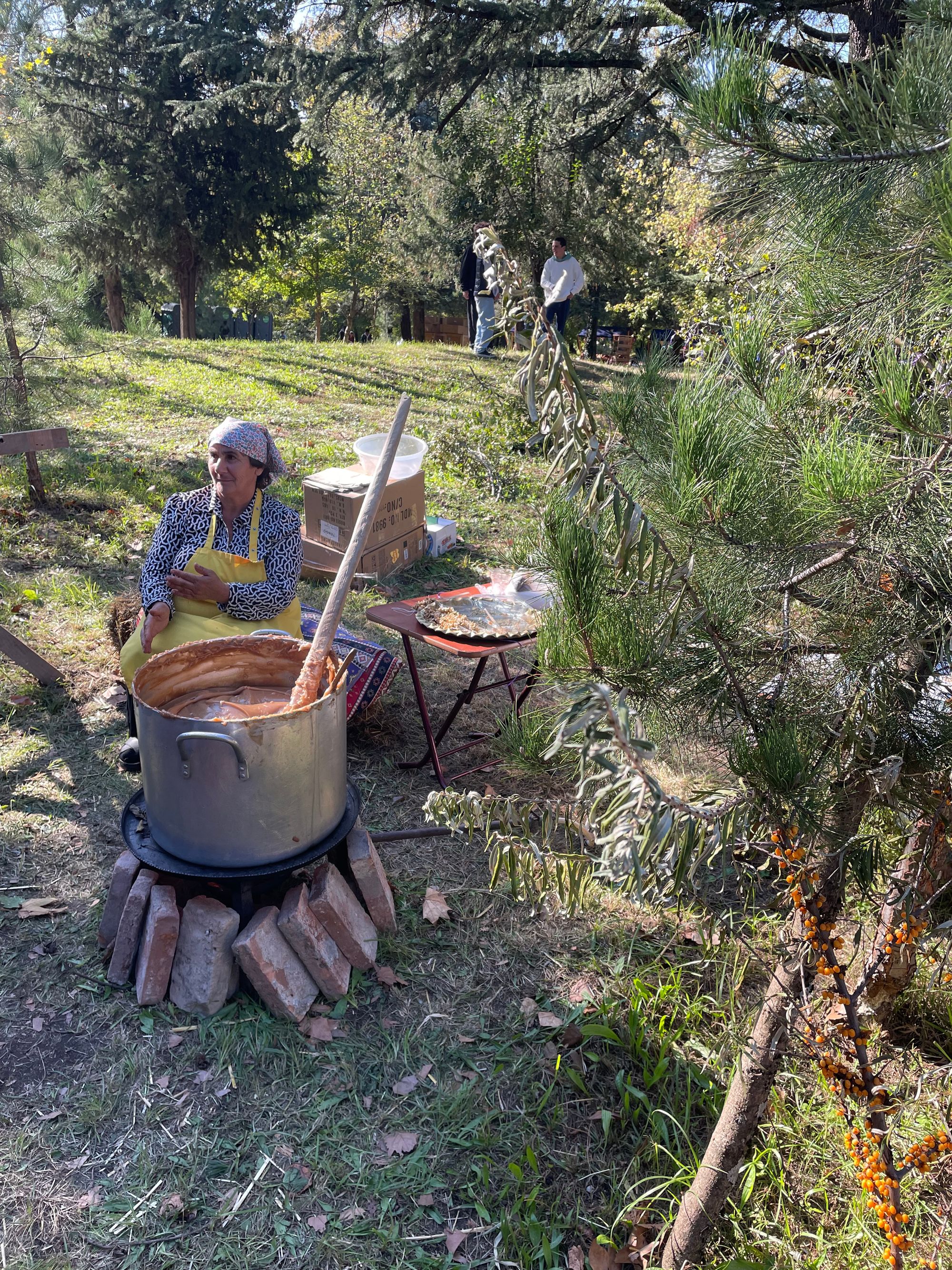 🇬🇪 Reflections on the Gurjaani Wine Festival