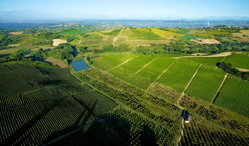 📍Ruché di Castagnole Monferrato DOCG