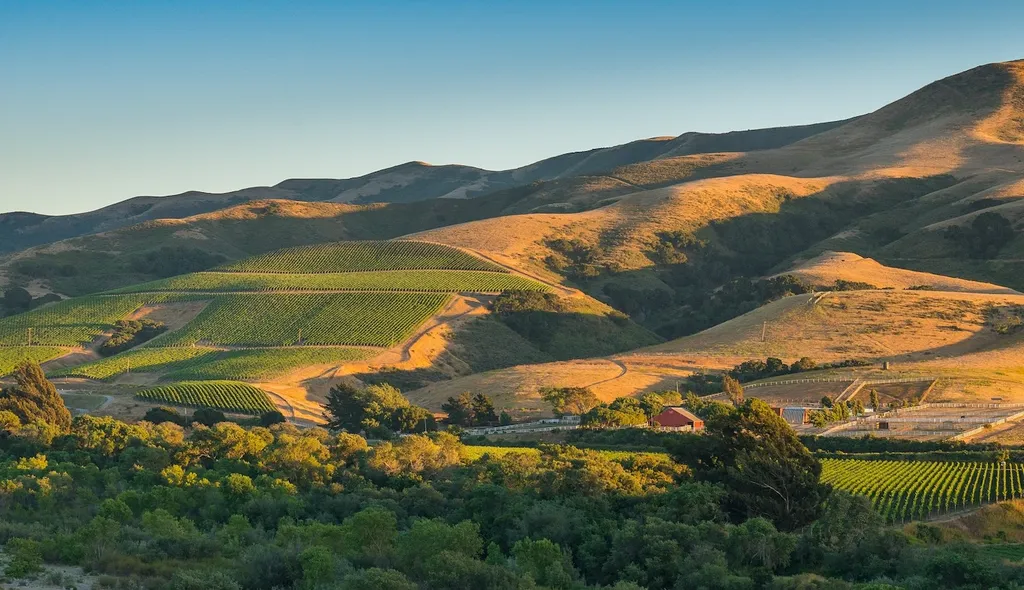 What You Need To Know About The Fresh Wines Of Sta. Rita Hills