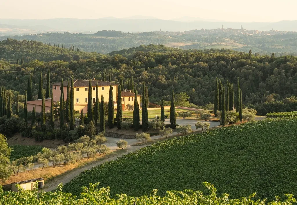 🍷 Introducing Tolaini in the hills of Chianti Classico