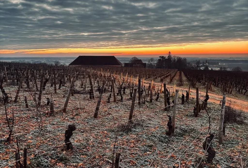 💯 Tasting highlights - January 2025