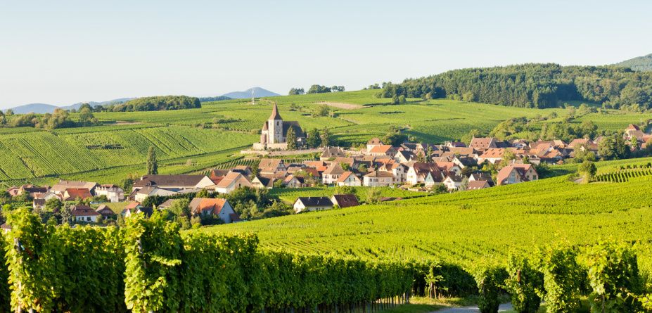 Alsace Grand Cru - a trusted classic