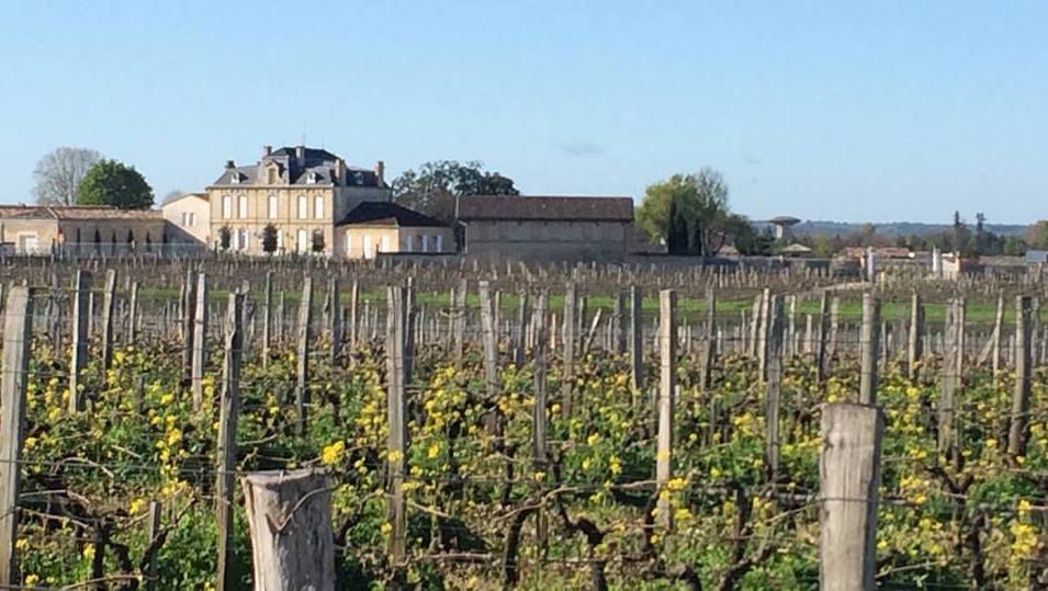Producer Guide: Chateau Nenin (Bordeaux, France)