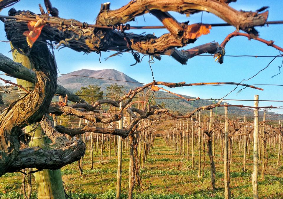 Appellation Guide: Vesuvio DOC (Campania, Italy)