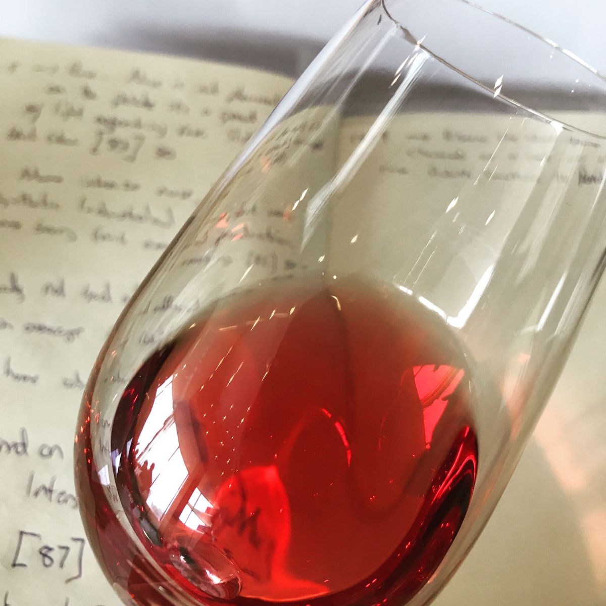 Travel - Judging at Vinaria 2018