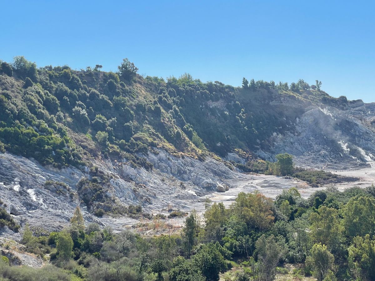 📝 From ashes to elegance: exploring Falanghina in the explosive terroir of the Phlegraean Fields