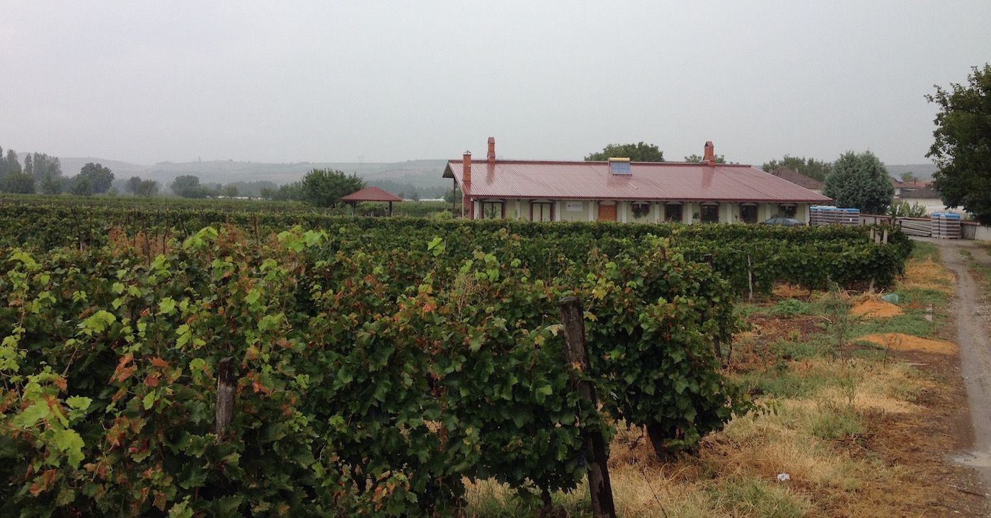 Travel - Visiting Popov Winery in Tikveš, Macedonia