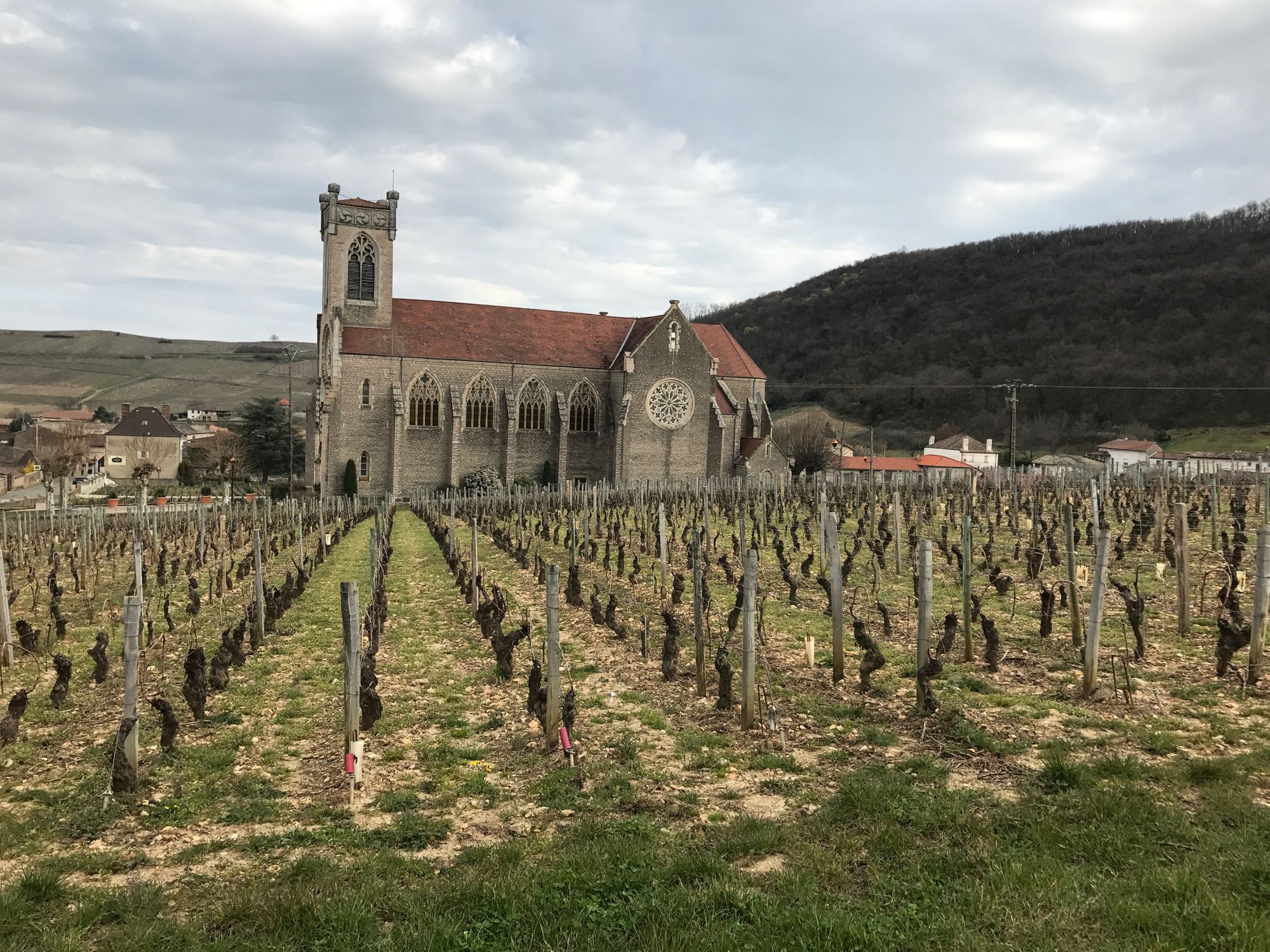 Travel - Judging at Concours de Lyon and driving aimlessly around Beaujolais and the Maconais
