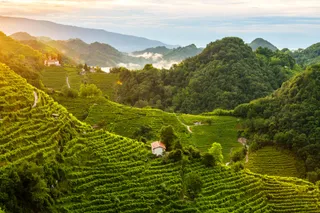 Heroic viticulture in the hills of Conegliano and Valdobbiadene