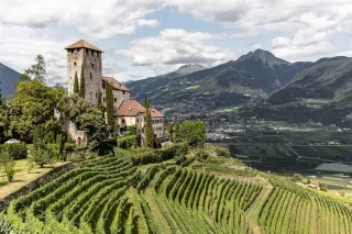 Why You Should Stock Up On The Alpine Wines Of Alto Adige