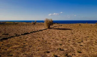 Not Enough Water: What Is The Future Of Santorini’s Wines?
