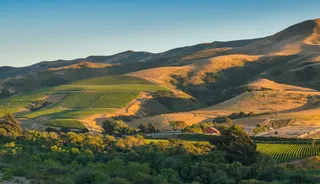 What You Need To Know About The Fresh Wines Of Sta. Rita Hills