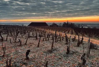 💯 Tasting highlights - January 2025