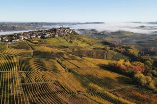 🔭 What I'll be watching in Piedmont this year