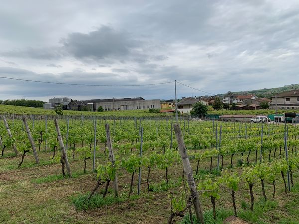 Travel - A few days in Soave and the Venetian hills - Part 1