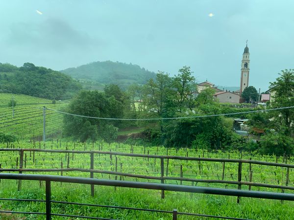 Durello, Italy’s trendiest sparkling wine