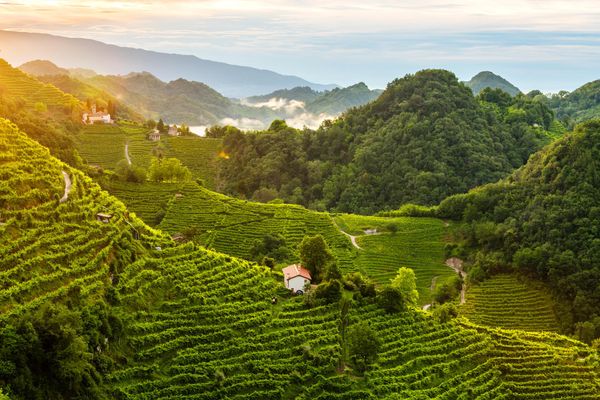 Heroic viticulture in the hills of Conegliano and Valdobbiadene