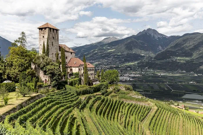Why You Should Stock Up On The Alpine Wines Of Alto Adige